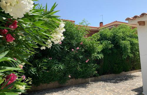 Villa Ficus para 6 personas con piscina privada - Foto 39