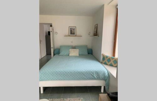 Les Hortensias, charmante petite maison en pierre - Foto 28