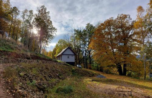 Domek za lipą - Foto 1