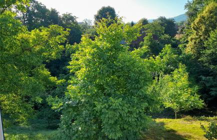 Elbe Holiday - Photo 13