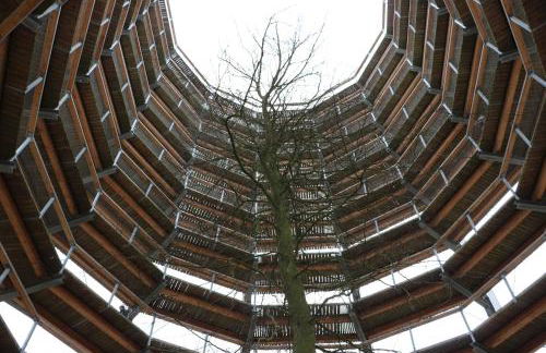 Ferienwohnungen Polchow - direkt am Wasser - Foto 23