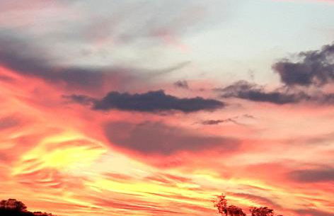 Agriturismo Villa la Fontana - Foto 57