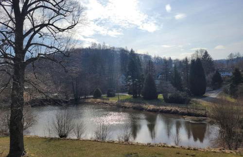 Ferienwohnung Landidyll, Whirlpool, Minipigs, Ponys, Familien - Foto 35