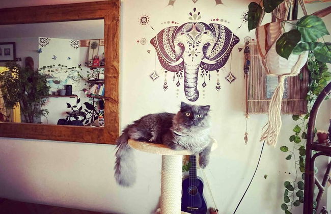 Amazing Riverside Boheme Home in SW London! - Foto 20