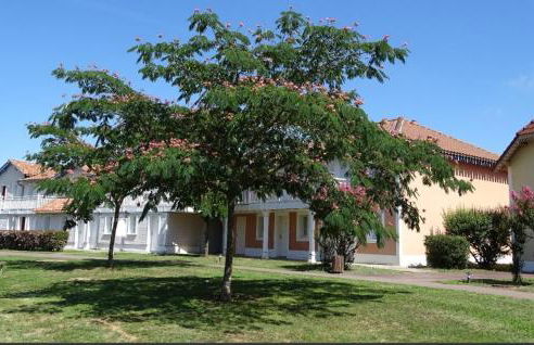 appartement au calme face au lac - Photo 20