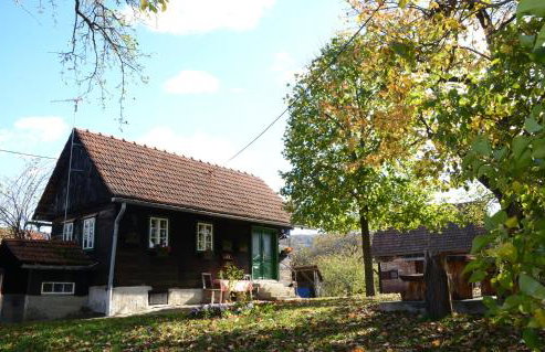 Holiday home Hižica v plavem trnacu - Foto 16