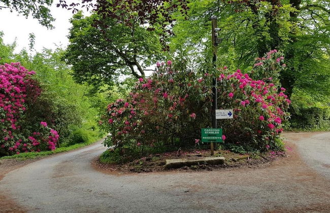 Davy Cottage in the Countryside With Horse Riding - Photo 21