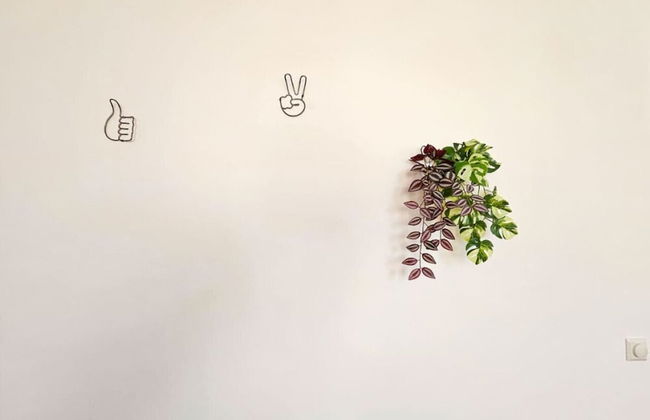 Red Orange Palm - Foto 66