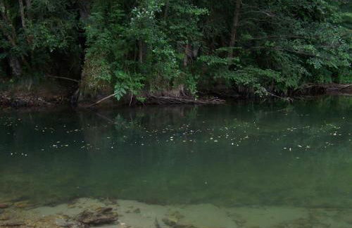 Appartement les rives de l’Ariège - Foto 33