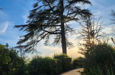 Gîte La Peyrière - Tarn-et-Garonne - Vue imprenable au calme - Foto 28