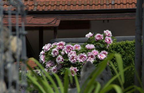 Altes Forsthaus - Foto 29