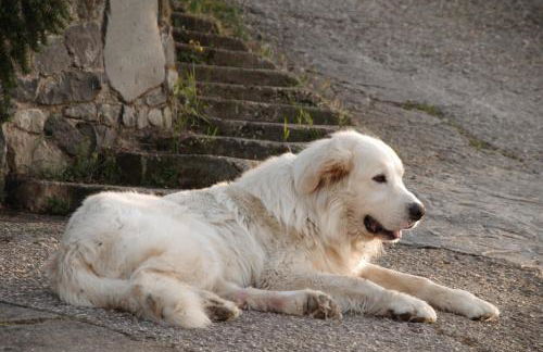 La Corte di Nonno - Foto 14