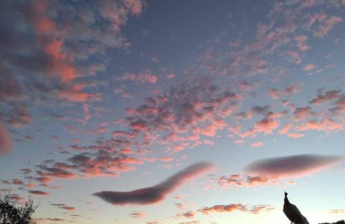 Agriturismo Podere Asche - Photo 20