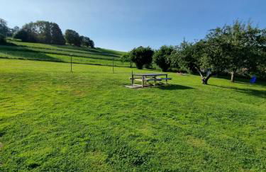 La Mauselaine - Foto 11