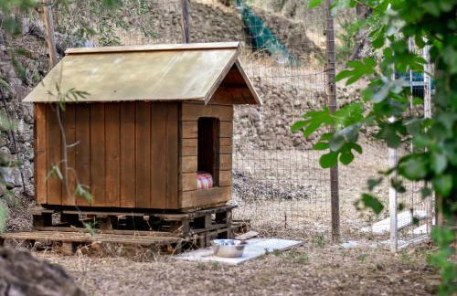 Casa da Maria, Montegrazie (IM) - Photo 23