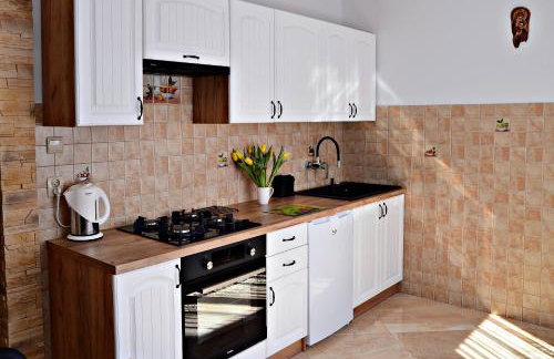 Apartament z tarasem i pokoje KLIMATYZOWANE -Drozdówka Solina - Foto 38