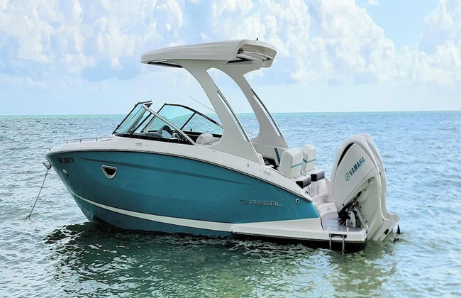 Sunshine Escape by Distinctive Beach Rentals - Photo 3