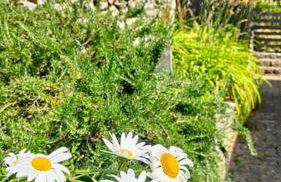 Maison familiale : charme & nature - Foto 34