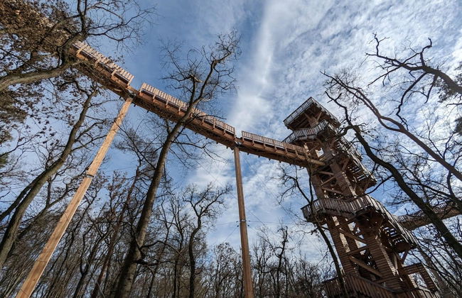 Maisonette in the Taunus With Mediterranean - Foto 19