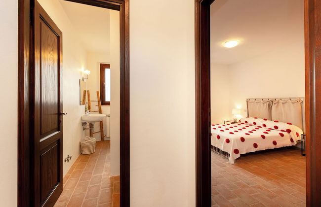 Tenuta Pianirossi - Photo 16