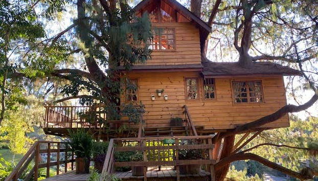 Tree House, in the Amantikir Park in Campos de Jordão