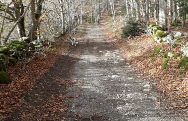 Maison de village gîte de "La Roche" - Foto 35