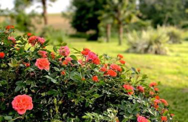 Gîte de charme avec piscine dans le Gers « Le Clos Boissière » - Photo 28