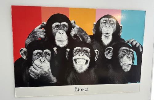 Moderne FerienWohnung NeuBau Merzig - Foto 31