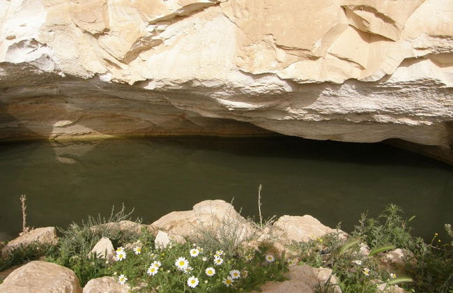 Hadass Desert Inn - Foto 29