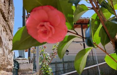 Αρτέμιδα plus Karpenisi Apartment - Foto 15