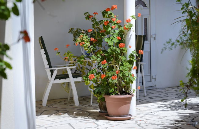 Oreb's Dream Apartments - Photo 72