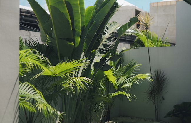 Neptune Studios Lombok - Foto 5