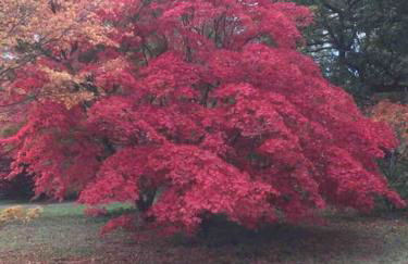 Stylish one bedroom Cotswold Coach House Tetbury - Foto 32