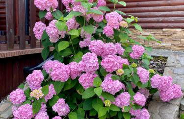 Mazury na Śląsku - Dom Wakacyjny z basenem - Foto 53