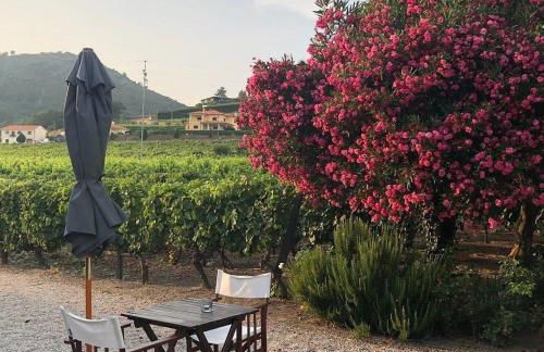 Morgadio da Calcada Douro Wine&Tourism - Photo 34