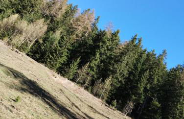 Casa per vacanze degli gnomi - Foto 36