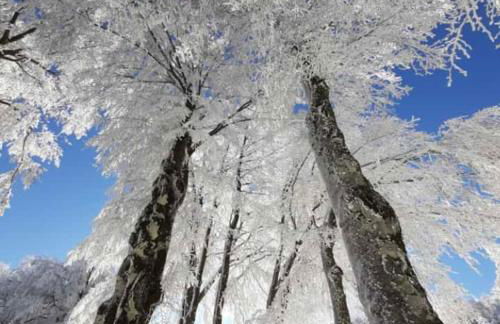 Giardino di Potentino - Foto 19