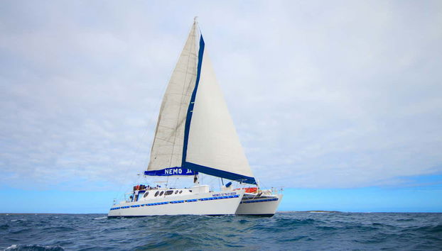 Catamaran for the tour