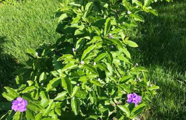 Charming Villa in Resende with Private Pool - Foto 41