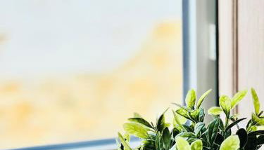 Casa Fidalgo - Foto 5