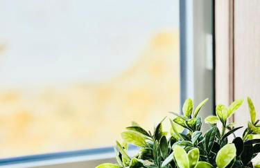 Casa Fidalgo - Foto 5