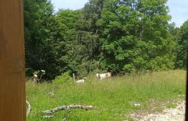 Les Étoiles de Bevy Chalet insolite Love Room - Foto 62