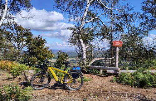 Ruhige Ferienwohnung „Südhang“ direkt am Wald - Foto 26