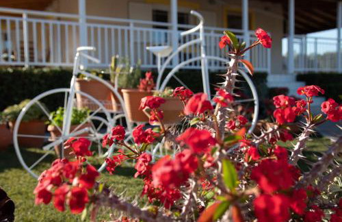 Fully Equipped Beach House at Pachia Ammos Plytra - Photo 6