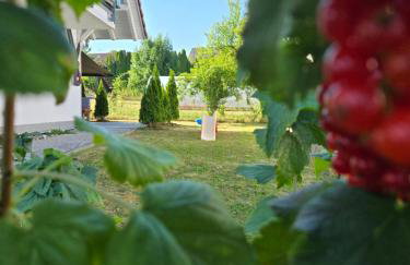 3 Zimmer Apartment nähe Schweiz mit Terrasse und Garten - Foto 17