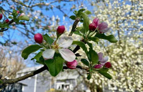 Roadhaven1830 - Foto 90