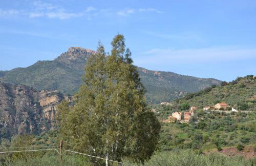 Villa Tiberio - Foto 77