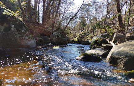 El Retiro de la Adrada AVILA - Foto 21