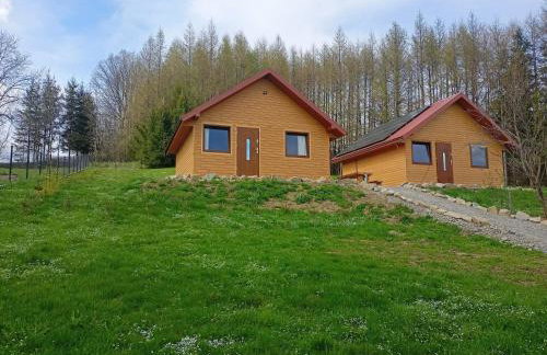 BIESZCZADZKA Antosiówka - Foto 10