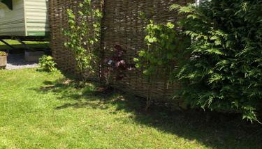 Swallows Return - Foto 3